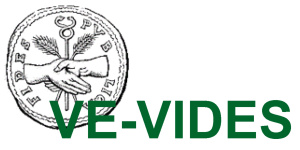 VE-VIDES-Logo